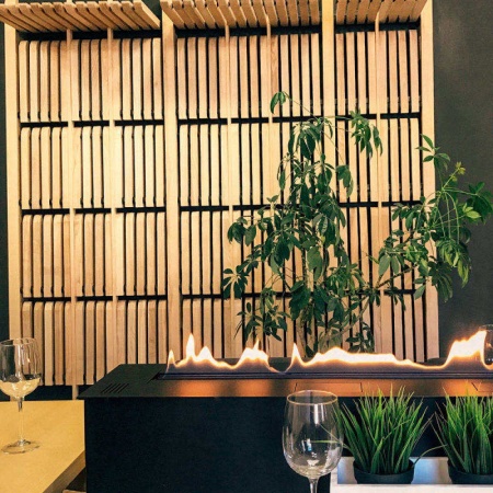 Автоматический биокамин 2000 Premium по цене 502 572 руб.